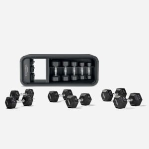 Technogym Bench + Extra Weights